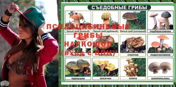 амф Алзамай