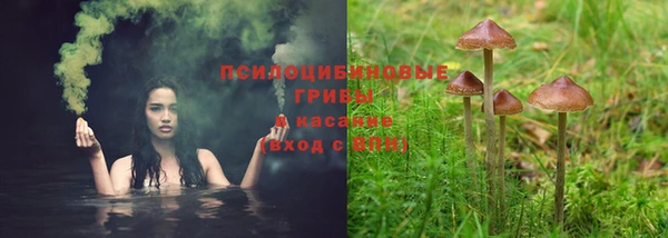 амф Алзамай