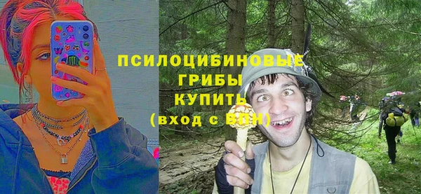 а пвп мука Алексеевка