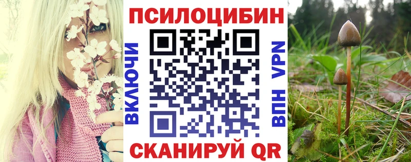 Псилоцибиновые грибы мицелий Гаврилов Посад
