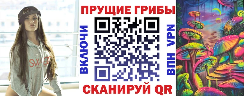 Псилоцибиновые грибы Psilocybine cubensis  Гаврилов Посад 